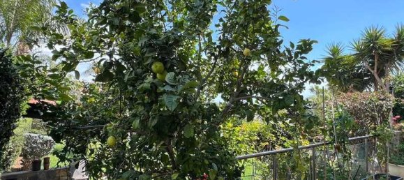 4 bedrooms Villa in Agios Athanasios, Cyprus No. 13805 15