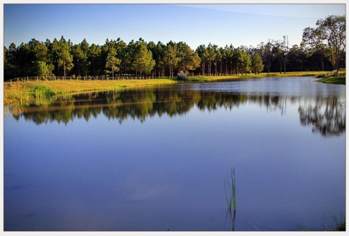  Land in Maldonado, Uruguay No. 14484