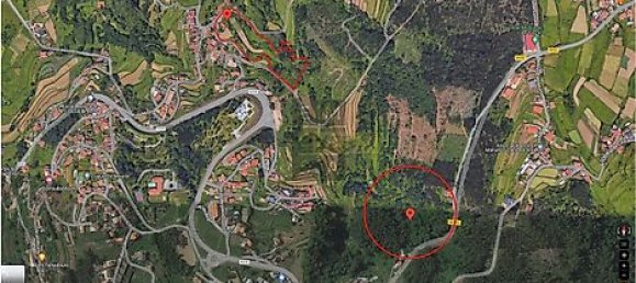 Casa de 8 dormitorios en Vale de Cambra, Portugal No. 26983 6