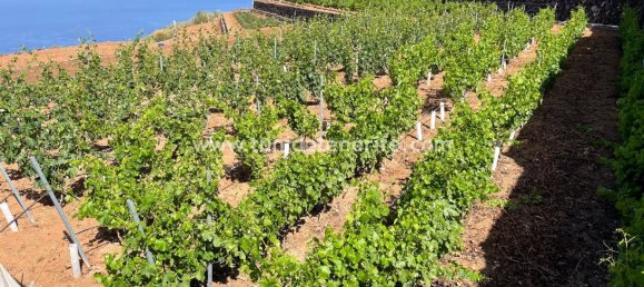 15m² Land in Puerto de Santiago, Spain No. 749 12