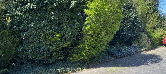 Таунхаус с 6 спальнями в Веттерау, Германия № 18715 31