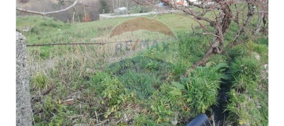 Terrain à Baiao, Portugal 2054m² No. 60355 4