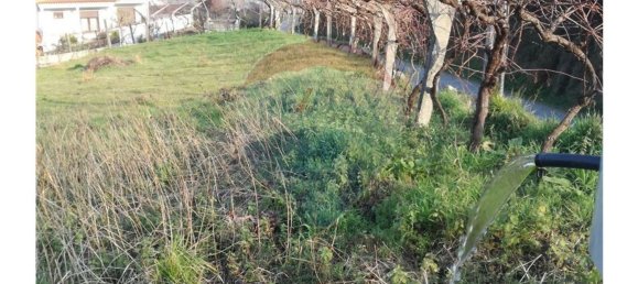 Terrain à Baiao, Portugal 2054m² No. 60355 3