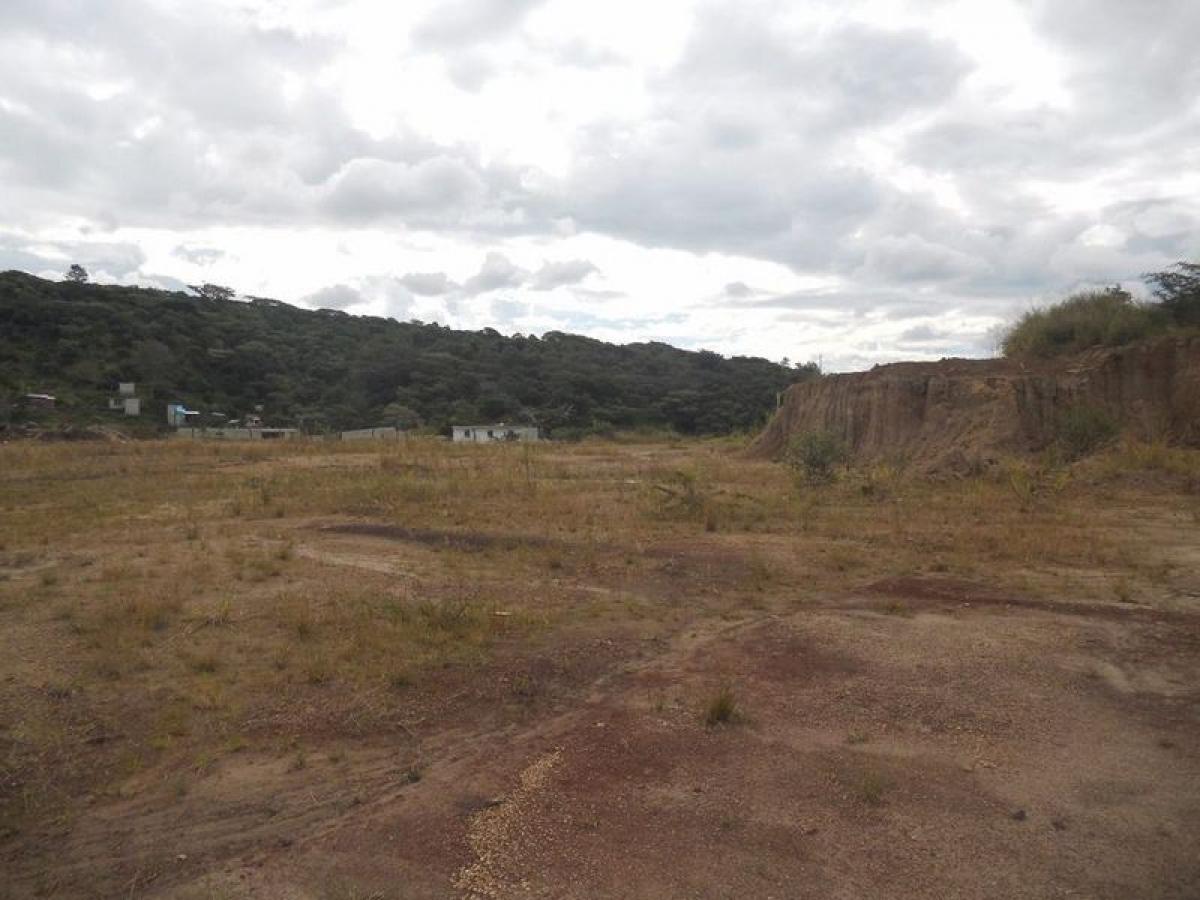  Land in Veracruz, Mexico No. 203923