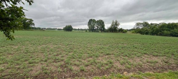 5 rooms Townhouse in Oberhavel, Germany No. 291722 13