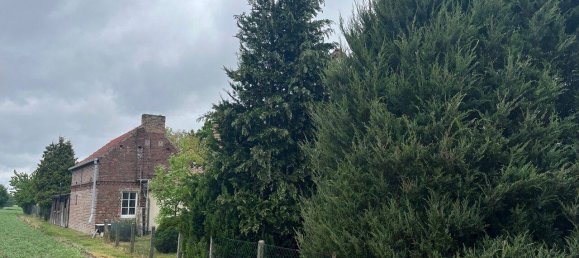 5 rooms Townhouse in Oberhavel, Germany No. 291722 6