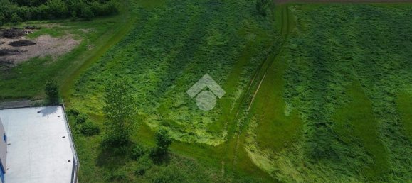 1 room Warehouse in Pozzolengo, Italy No. 314478 5