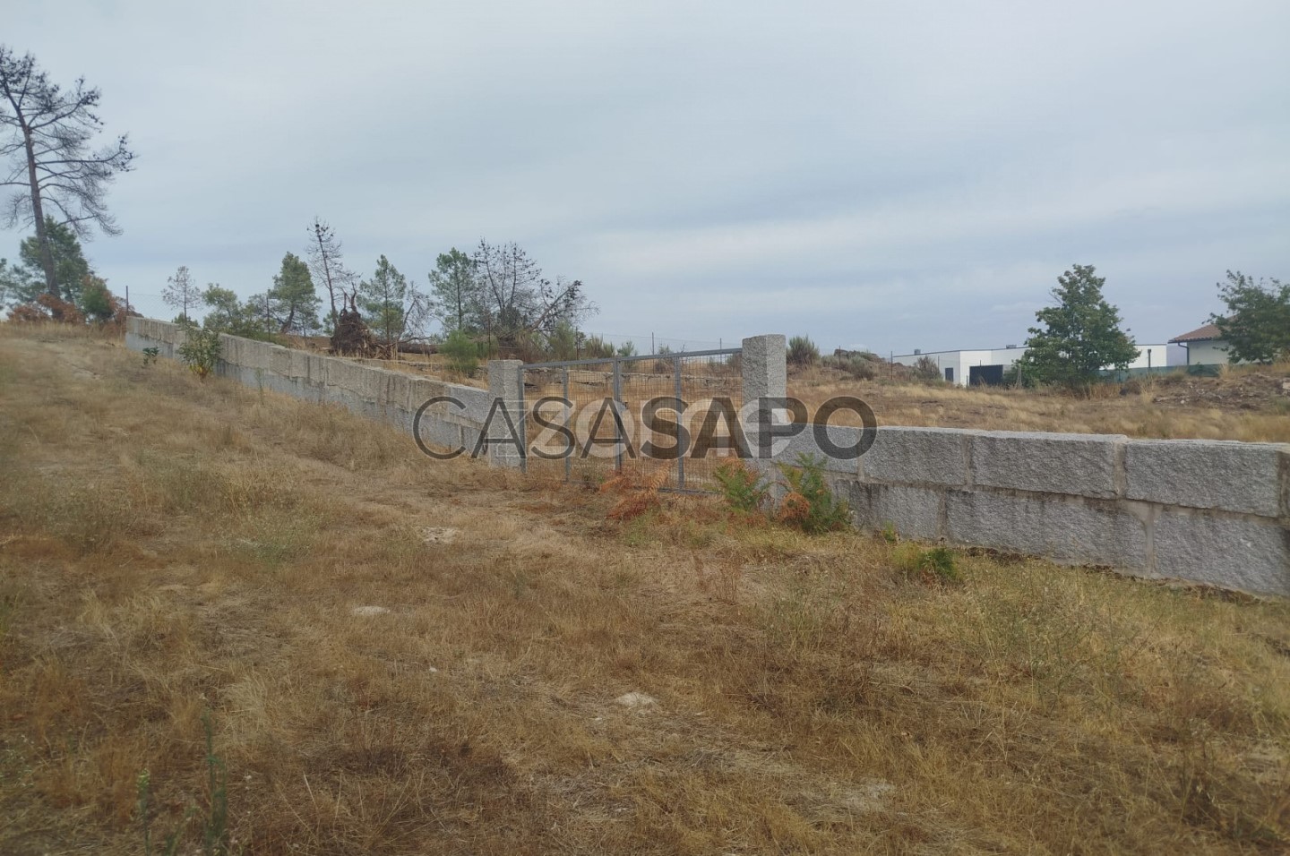 345m² Land in Mangualde, Portugal No. 299838