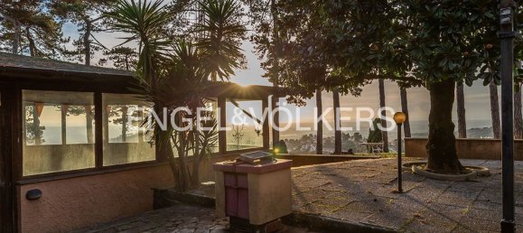 10 rooms Villa in Velletri, Italy No. 64731 26