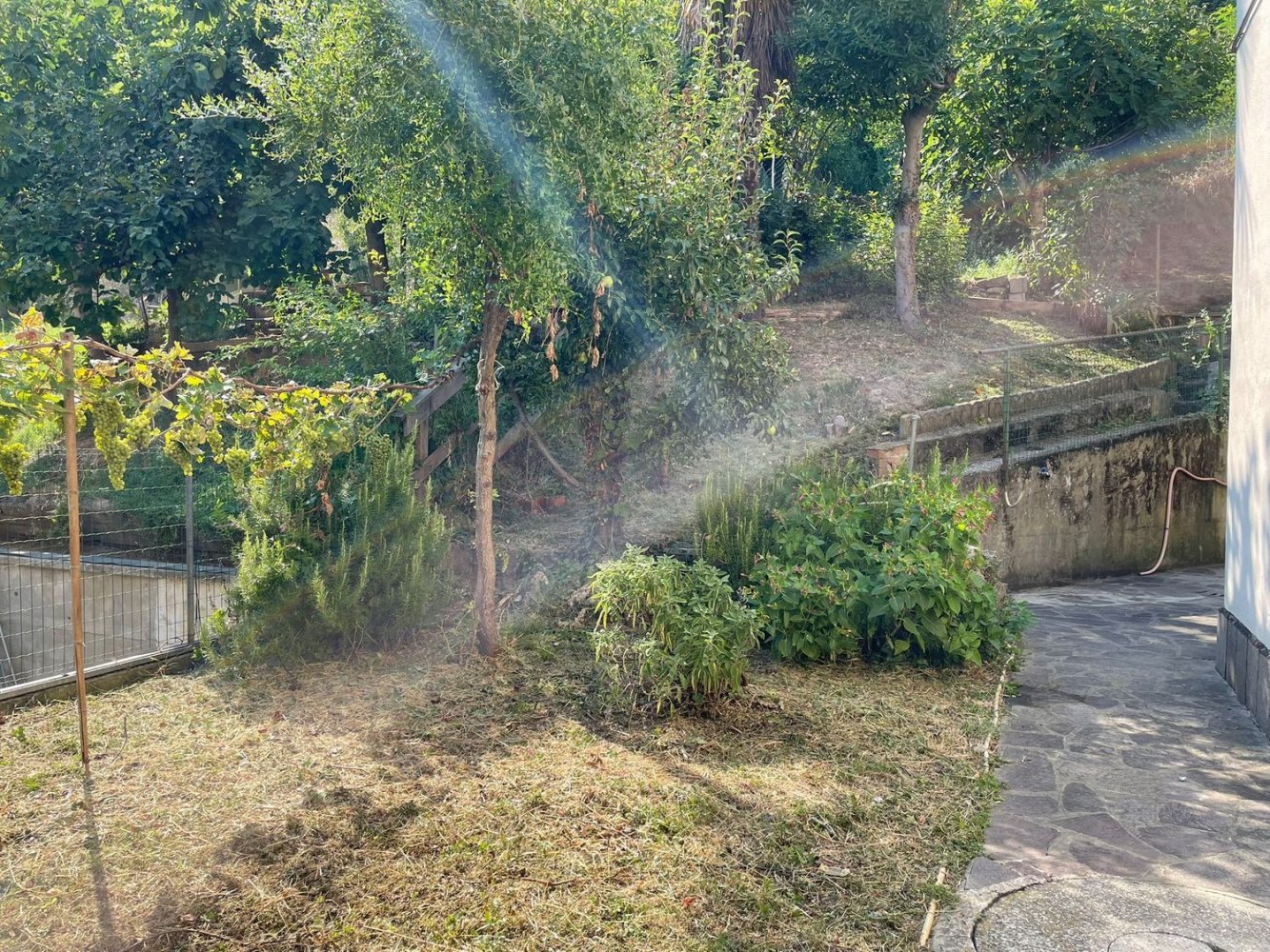 5 rooms Apartment in Casola Valsenio, Italy No. 297289