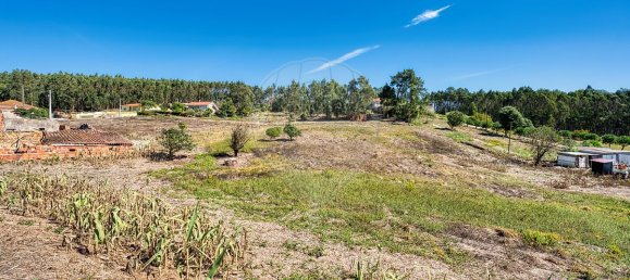 Дом с 2 спальнями в Калдаш да Раинья, Португалия № 20236 28