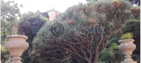 7 bedrooms Castles in Oeiras, Portugal No. 106514 17