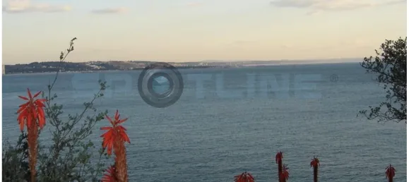 7 bedrooms Castles in Oeiras, Portugal No. 106514 20