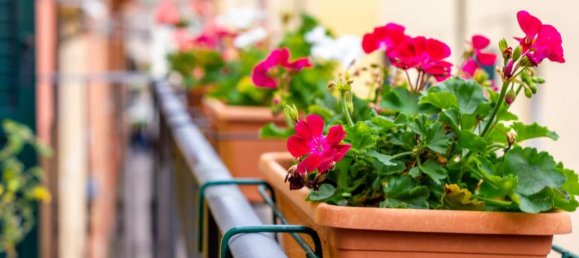 5 rooms House in Medicina, Italy No. 34413 38