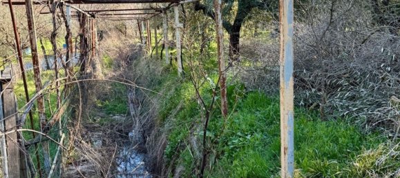 Grundstück in Calenzano, Italy 15000m², Nr. 146941 4