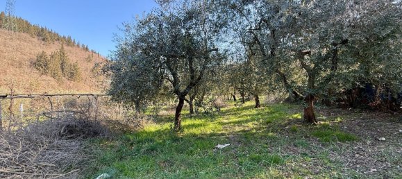 Grundstück in Calenzano, Italy 15000m², Nr. 146941 2