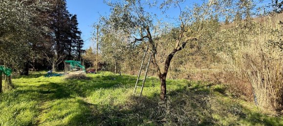 Grundstück in Calenzano, Italy 15000m², Nr. 146941 8