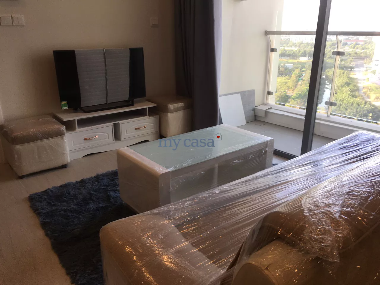 1 bedroom Apartment for rent in Thu Duc, Ho Chi Minh, Vietnam № 9519