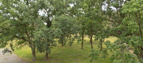 25 rooms Hotel in Spree-Neise, Germany No. 56521 7