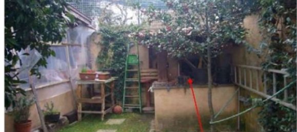 6 rooms Villa in Rocca di Papa, Italy No. 189679 6