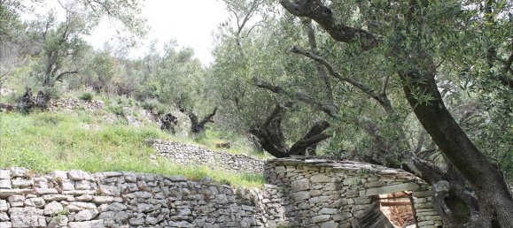 8000m² Hotel in Corfu, Greece No. 7916 2