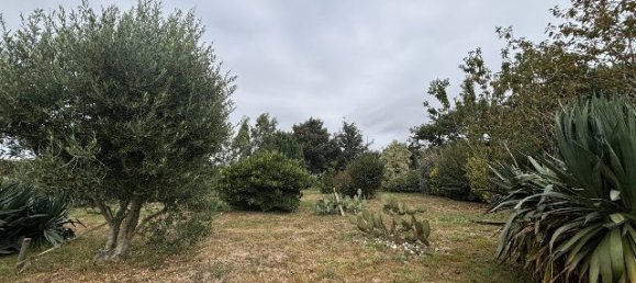 3 bedrooms House in Manche, France No. 343202 11