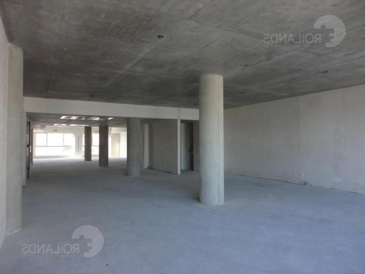 173m² Office in Buenos Aires, Argentina No. 109493