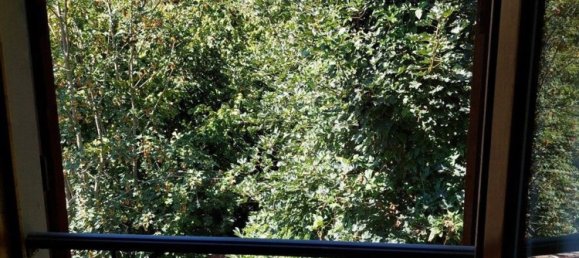 Дом с 3 комнатами в Кастель Сан Никколо, Италия № 196375 10