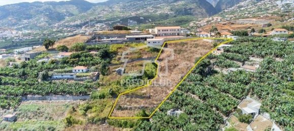  قطعة أرض في Funchal, Portugal 2800متر مربع رقم 118446 5