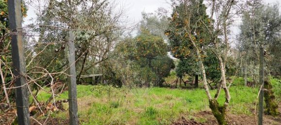 2 bedrooms House in Lajeosa do Dao, Portugal No. 183727 25