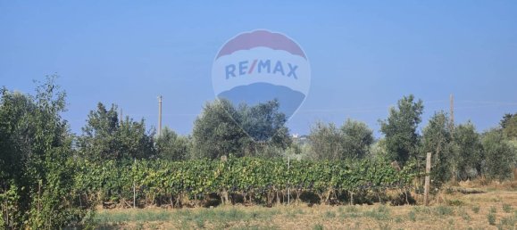 Grundstück in Suvereto, Italy 45000m², Nr. 138711 3