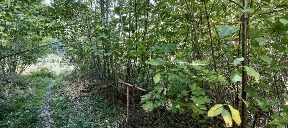 Grundstück in Pressbaum, Austria, Nr. 239832 5