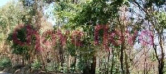 قطعة أرض في Sao Felix da Marinha, Portugal 5914متر مربع رقم 47438 3