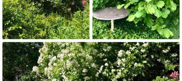 Casa T2 em Weitra, Austria N.º 151410 6