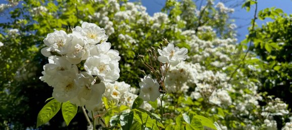 Casa T2 em Weitra, Austria N.º 151410 13