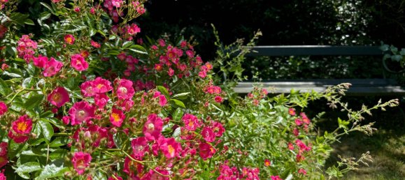 Casa T2 em Weitra, Austria N.º 151410 12