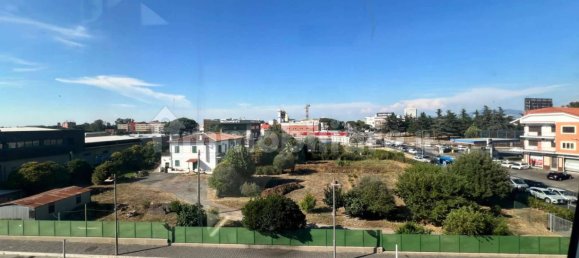 3 rooms Office in Pomezia, Italy No. 292450 13