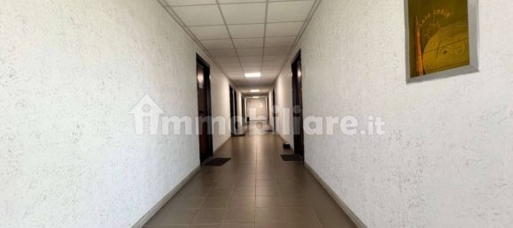 3 rooms Office in Pomezia, Italy No. 292450 11