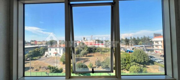 3 rooms Office in Pomezia, Italy No. 292450 12