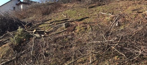 Grundstück in Stattegg, Austria, Nr. 131305 7