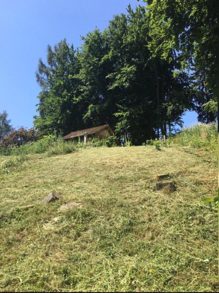 Grundstück in Stattegg, Austria, Nr. 131305