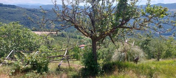 Casa de 4 habitaciónes en Prunetto, Italy No. 111009 4
