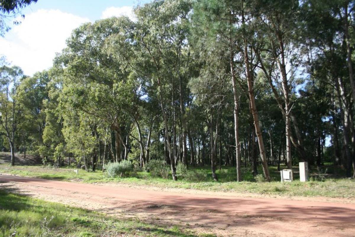 Земельный участок в Мальдонадо, Уругвай № 16003