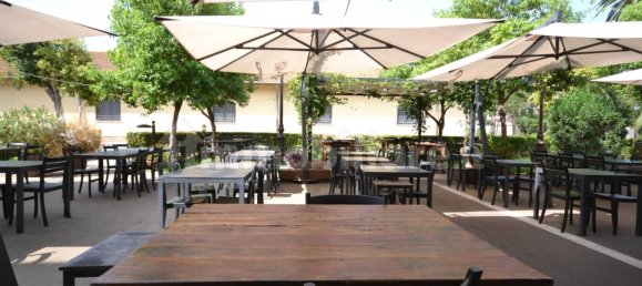 4 rooms Commercial property in Fiumicino, Italy No. 328356 12