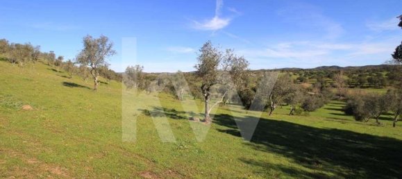 8 bedrooms Castles in Sao Bartolomeu de Messines, Portugal No. 57615 26