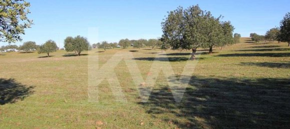 8 bedrooms Castles in Sao Bartolomeu de Messines, Portugal No. 57615 24