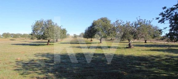 8 bedrooms Castles in Sao Bartolomeu de Messines, Portugal No. 57615 23