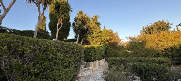 Коммерческая недвижимость с 3 спальнями в Протарас, Кипр № 20382 5