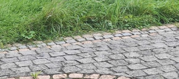  بناية في Viersen, Germany 300متر مربع رقم 137094 6