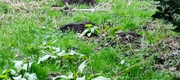  بناية في Viersen, Germany 300متر مربع رقم 137094 7